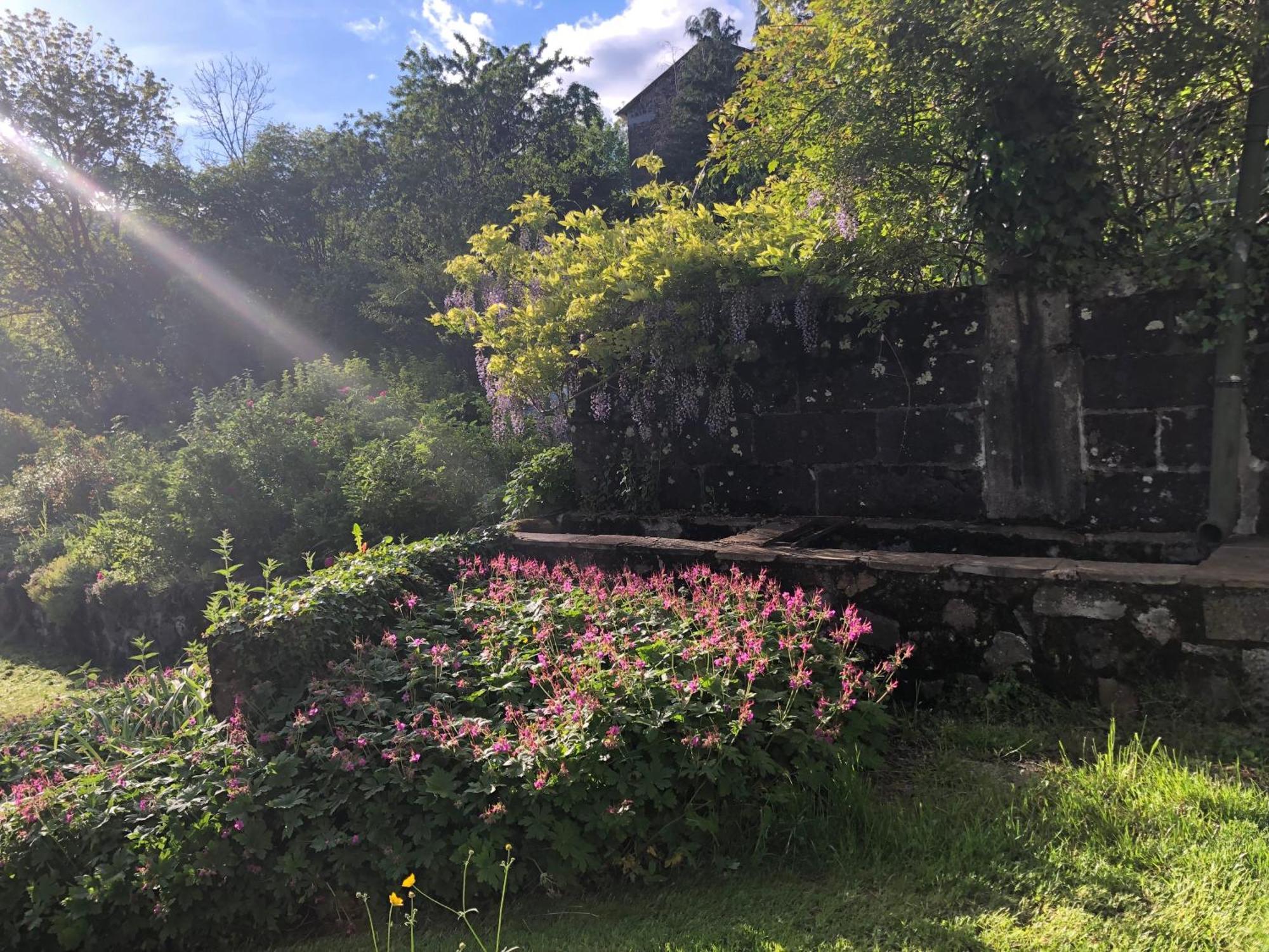 Bed and Breakfast Le Figarelou Thiezac Екстер'єр фото