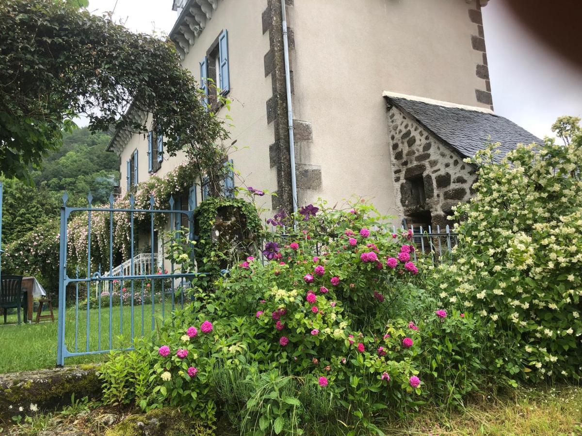 Bed and Breakfast Le Figarelou Thiezac Екстер'єр фото