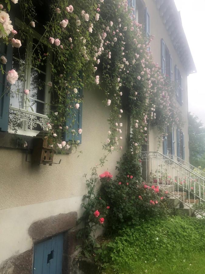 Bed and Breakfast Le Figarelou Thiezac Екстер'єр фото