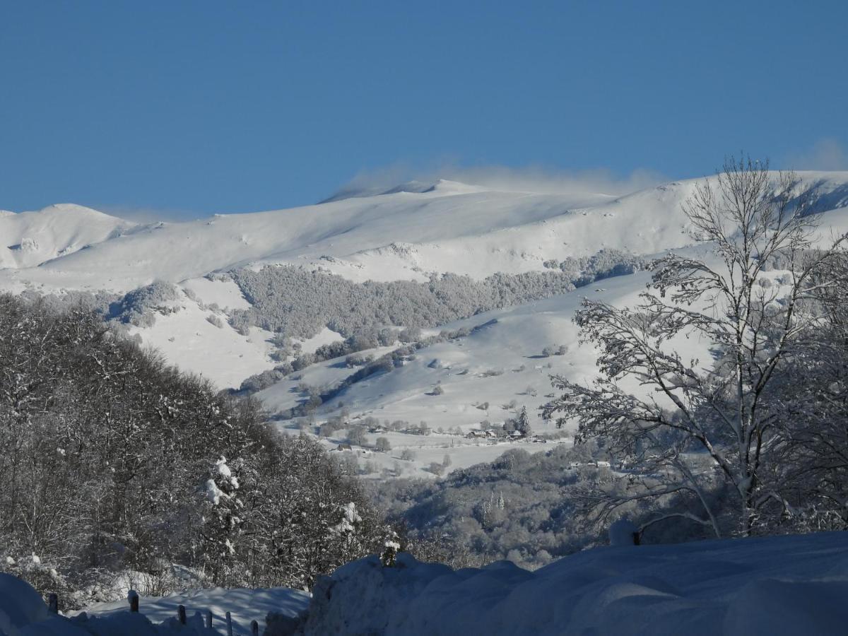 Bed and Breakfast Le Figarelou Thiezac Екстер'єр фото